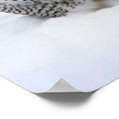Snowy Owl in de Druk van het Poster van de sneeuw (Hoek)