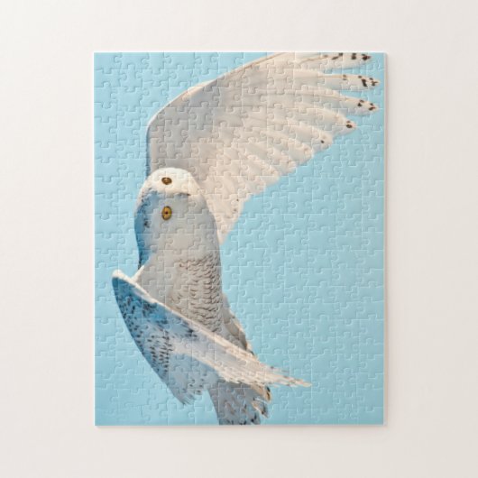 Snowy Owl in flight Legpuzzel (Verticaal)