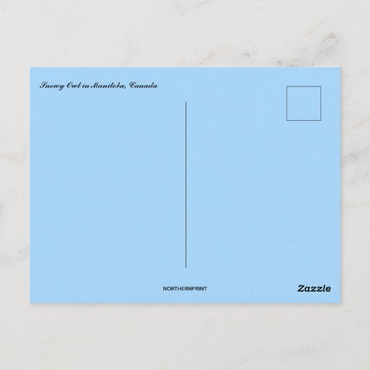 Snowy Owl in Manitoba Canada Briefkaart (Achterkant)