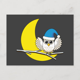 Snowy Owl in New Moon Winter Night Feestdagenkaart