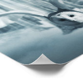 Snowy Owl in vlucht Poster (Hoek)