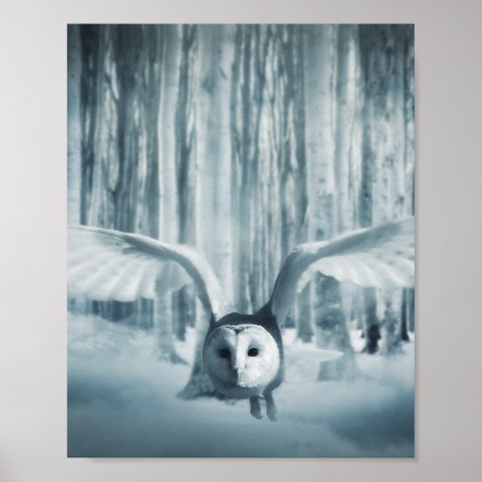 Snowy Owl in vlucht Poster (Voorkant)