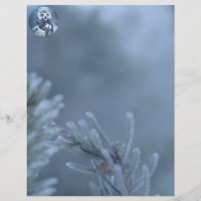 Snowy Owl in Winter (Voorkant)