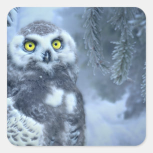 Snowy Owl in Winter Vierkante Sticker