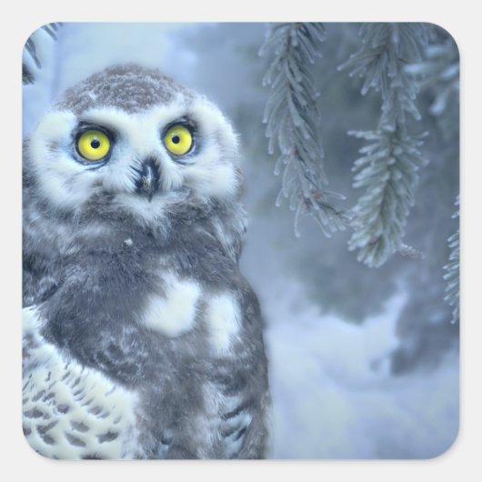 Snowy Owl in Winter Vierkante Sticker (Voorkant)