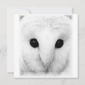 Snowy Owl Invitation Kaart (Voorkant)