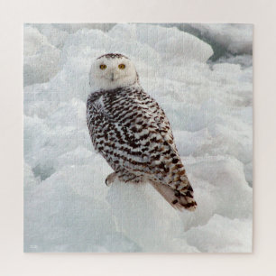 Snowy Owl jigzaagpuzzel Legpuzzel