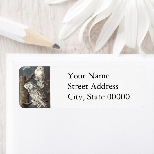 Snowy Owl, John Audubon Etiket (Insitu)