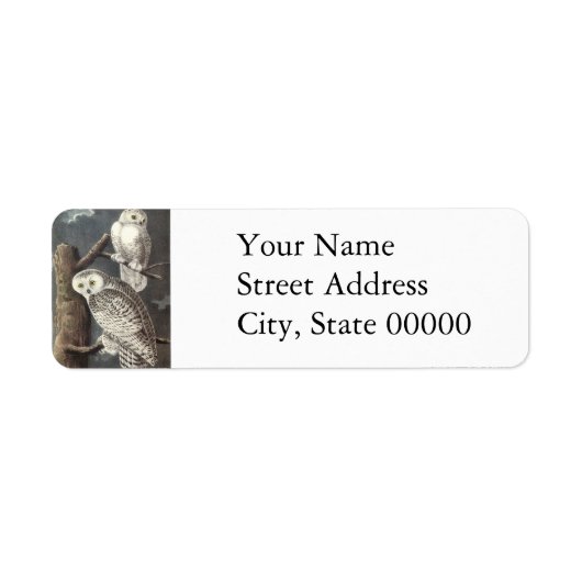 Snowy Owl, John Audubon Etiket (Voorkant)