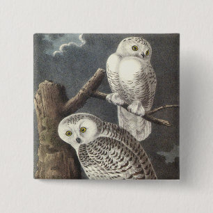Snowy Owl, John Audubon Vierkante Button 5,1 Cm