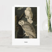 Snowy Owl, John James Audubon's Birds of America Kaart (Achterkant)
