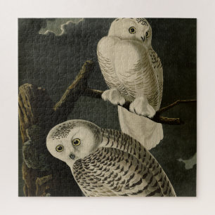 Snowy Owl, John James Audubon's Birds of America Legpuzzel