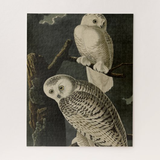 Snowy Owl, John James Audubon's Birds of America Legpuzzel (Verticaal)