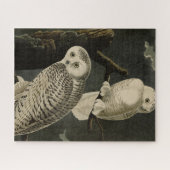 Snowy Owl, John James Audubon's Birds of America Legpuzzel (Horizontaal)