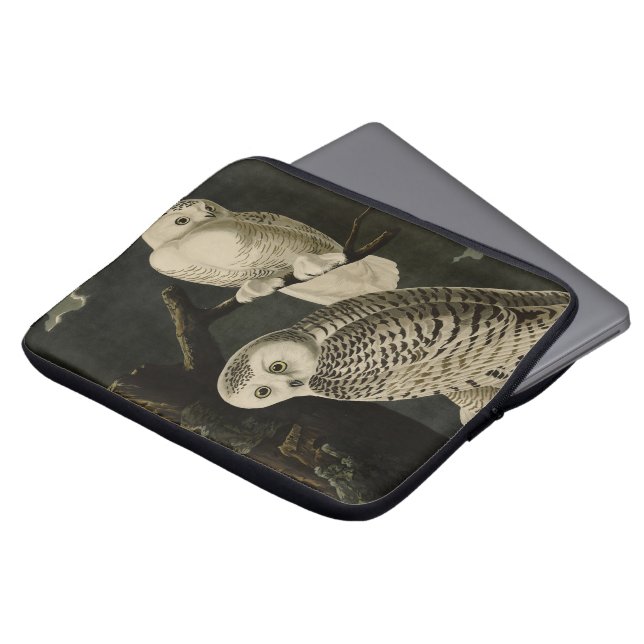 Snowy Owl, John James Audubon's Birds of America P Laptop Sleeve (Voorkant top)