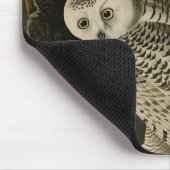 Snowy Owl, John James Audubon's Birds of America P Muismat (Hoek)