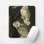 Snowy Owl, John James Audubon's Birds of America P Muismat (Met muis)