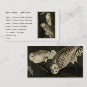 Snowy Owl, John James Audubon's Birds of America Visitekaartje (Voorkant / Achterkant)