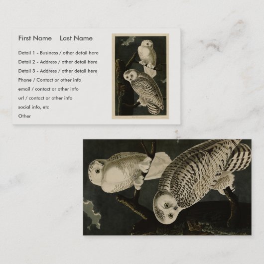Snowy Owl, John James Audubon's Birds of America Visitekaartje (Voorkant / Achterkant)
