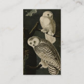 Snowy Owl, John James Audubon's Birds of America Visitekaartje (Achterkant)