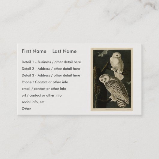 Snowy Owl, John James Audubon's Birds of America Visitekaartje (Voorkant)