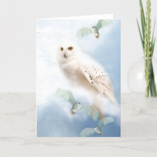 Snowy Owl Kaart