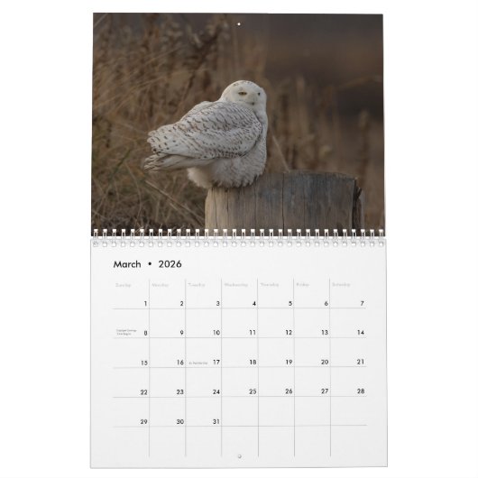 Snowy Owl Kalender 2026 (Mar 2026)