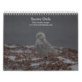 Snowy Owl Kalender 2026 (Hoes)