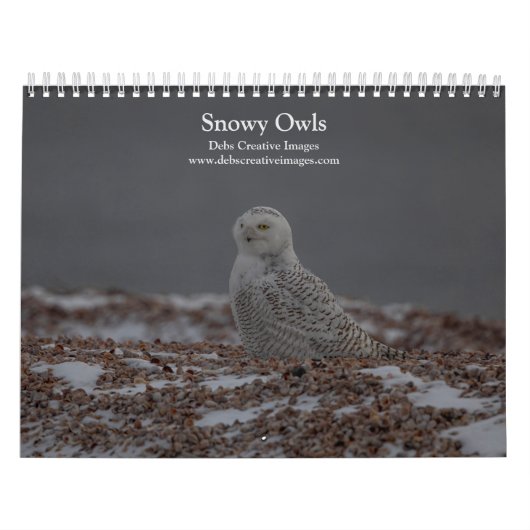 Snowy Owl Kalender 2026 (Hoes)
