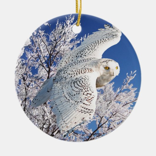 "Snowy Owl" Keramisch Ornament (Voorkant)
