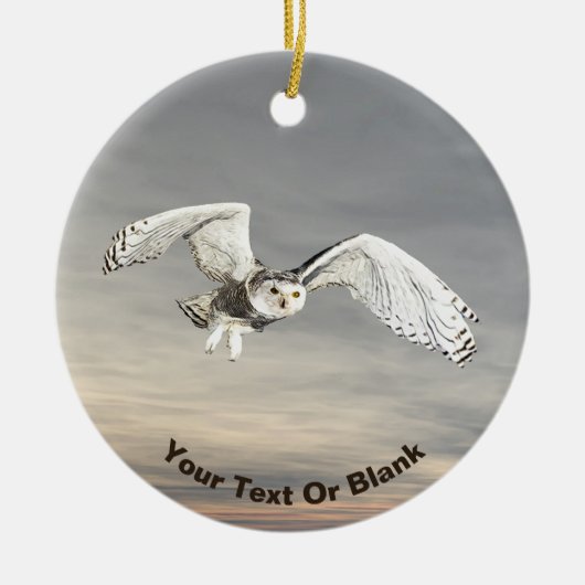 Snowy Owl Keramisch Ornament (Voorkant)