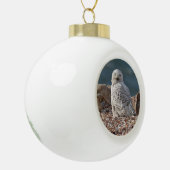 Snowy Owl   Keramische Bal Ornament (Links)