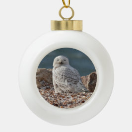 Snowy Owl   Keramische Bal Ornament