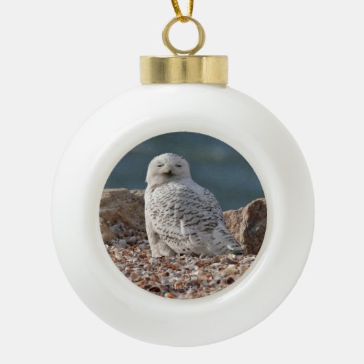 Snowy Owl   Keramische Bal Ornament (Voorkant)