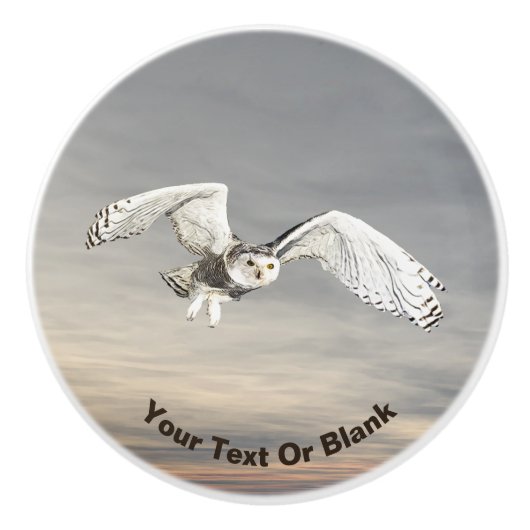 Snowy Owl Keramische Knop (Voorkant)