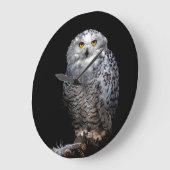 Snowy Owl klok (Hoek)