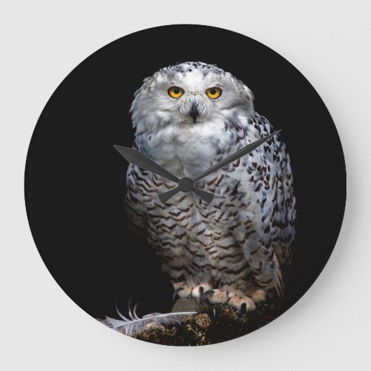 Snowy Owl klok (Voorkant)
