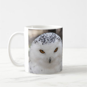 Snowy Owl Koffiemok