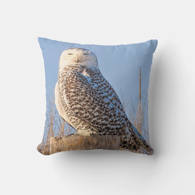 Snowy Owl - kussen (Voorkant)