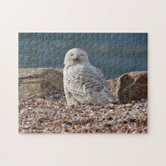 Snowy Owl Legpuzzel (Horizontaal)