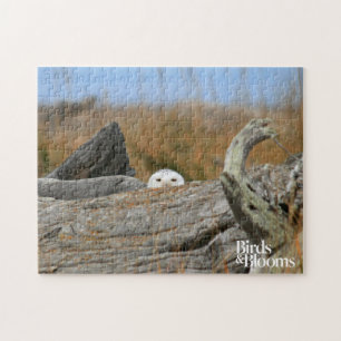 Snowy Owl Legpuzzel
