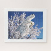 "Snowy Owl" Legpuzzel (Horizontaal)