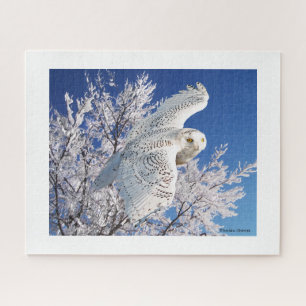 "Snowy Owl" Legpuzzel