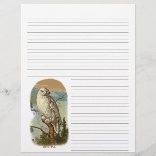  Snowy Owl Lined Letterhead (Voorkant)