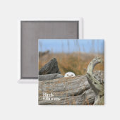 Snowy Owl Magneet (Voorkant / Achterkant)