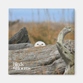 Snowy Owl Magneet (Voorkant)