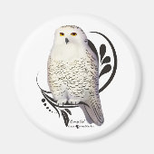 Snowy Owl Magneet (Voorkant)