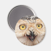 Snowy Owl Magneet (Voorkant / Achterkant)