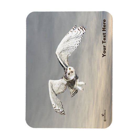 Snowy Owl Magneet (Verticaal)