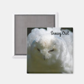 Snowy Owl Magneet (Voorkant / Achterkant)
